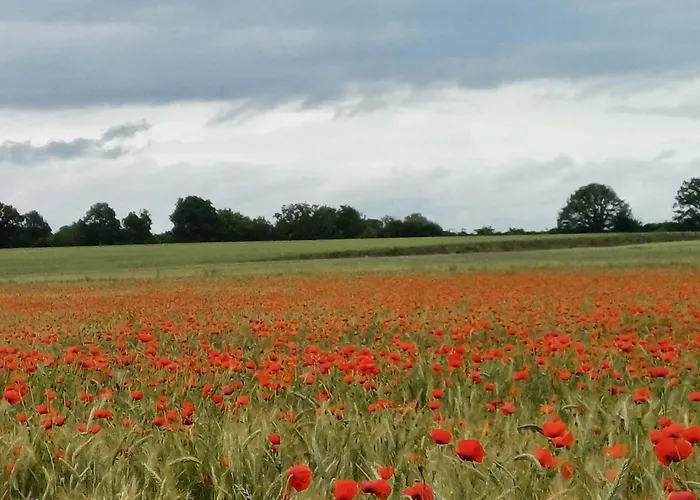 French Countryside Near Paris!