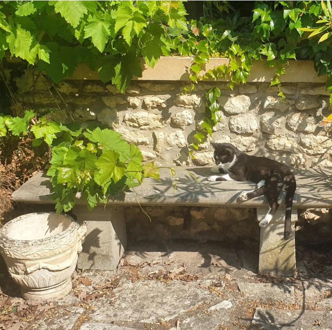 Holiday home French Countryside Near Paris! *